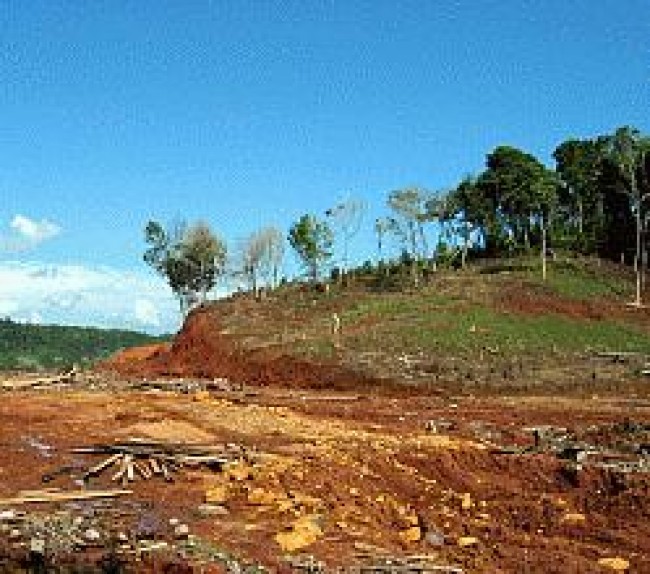 SITUACION DE LOS RECURSOS NATURALES SITUACION DE LOS RECURSOS NATURALES