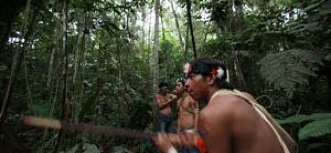 LAS PETROLERAS REGRESAN A LA AMAZONIA DE ECUADOR