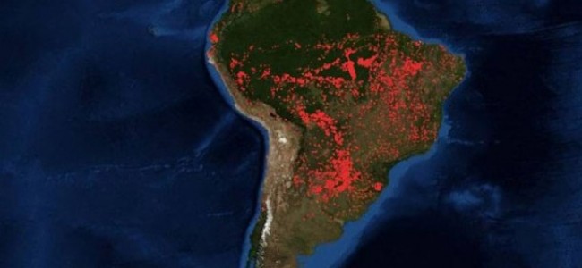 LA INTEGRACION AMAZONIA: OTRA VICTIMA DE LAS LLAMAS